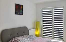 Apartament cu 3 camere, lux, pet friendly, zona centrala a orasului