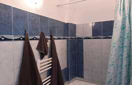 De vanzare casa individuala, 55mp utili, curte comuna,  cartier Gruia