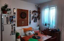 De vanzare casa individuala, 55mp utili, curte comuna,  cartier Gruia