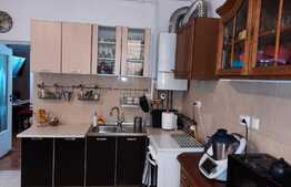 De vanzare casa individuala, 55mp utili, curte comuna,  cartier Gruia