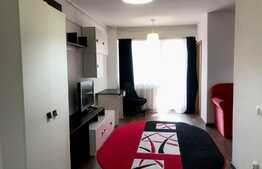 Apartament cu o camera, zona FSEGA 