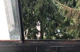 Apartament, 2 camere decomandate, zona Big Manastur