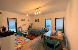 Apartament 2 camere, 55 mp, gradina, zona strazii Erich Bergel