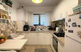 Apartament 2 camere, 55 mp, gradina, zona strazii Erich Bergel