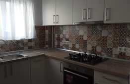 Apartament 2 camere, 55 mp, gradina, zona strazii Erich Bergel