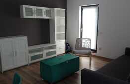 Apartament 2 camere, 55 mp, gradina, zona strazii Erich Bergel
