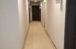 Apartament 2 camere, 55 mp utili, zona Piata Cipariu