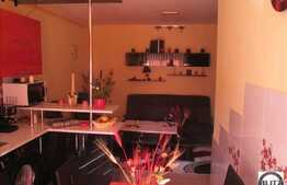 Apartament cu 2 camere, 57.5 mp, zona strazii Porii! Mobilat si utilat!