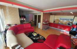 Pret atractiv,, expunere sudica, 110 mp utili, zona Terra