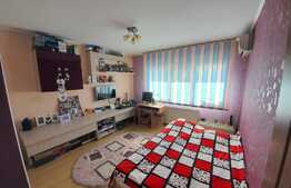 Pret atractiv,, expunere sudica, 110 mp utili, zona Terra