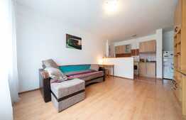 Apartament 2 camere, 45 mp, zona strazii Viilor