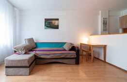 Apartament 2 camere, 45 mp, zona strazii Viilor