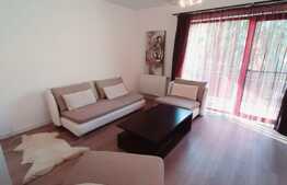 Apartament de lux, etaj intermediar, dressing, parcare, zona Teilor