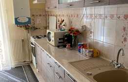 Apartament 2 camere, decomandat 54 mp, zona strazii Dambovitei!