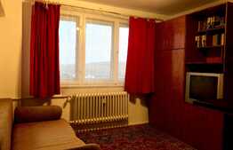 Apartament 2 camere, zona Iulius Mall