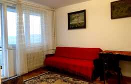 Apartament 2 camere, zona Iulius Mall