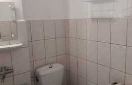 Oportunitate ! 44 mp, intermediar, zona Corneliu Coposu