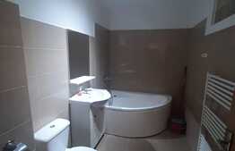 Oportunitate de investitie, zona Ioan Rus