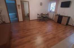 Oportunitate de investitie, zona Ioan Rus