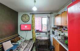 Ieftina si cocheta, garsoniera 12 mp, Zona Auchan