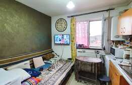 Ieftina si cocheta, garsoniera 12 mp, Zona Auchan