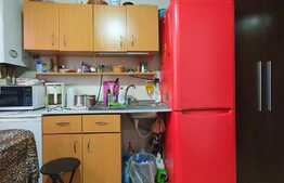 Ieftina si cocheta, garsoniera 12 mp, Zona Auchan