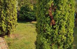 Oportunitate! Casa individuala 280 mp utili, 600 mp teren.