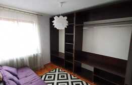 Apartament cu 2 camere, 40 mp, modern, zona strazii Busteni 