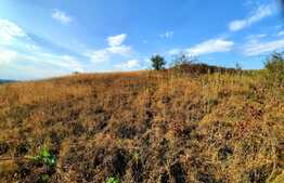 Scadere de pret!Teren 2880mp, panorama deosebita, intr-o zona in plina dezvoltare a cartierului Borhanci