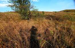 Scadere de pret!Teren 2880mp, panorama deosebita, intr-o zona in plina dezvoltare a cartierului Borhanci