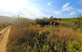Scadere de pret!Teren 2880mp, panorama deosebita, intr-o zona in plina dezvoltare a cartierului Borhanci