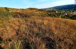 Scadere de pret!Teren 2880mp, panorama deosebita, intr-o zona in plina dezvoltare a cartierului Borhanci