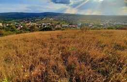 Scadere de pret!Teren 2880mp, panorama deosebita, intr-o zona in plina dezvoltare a cartierului Borhanci