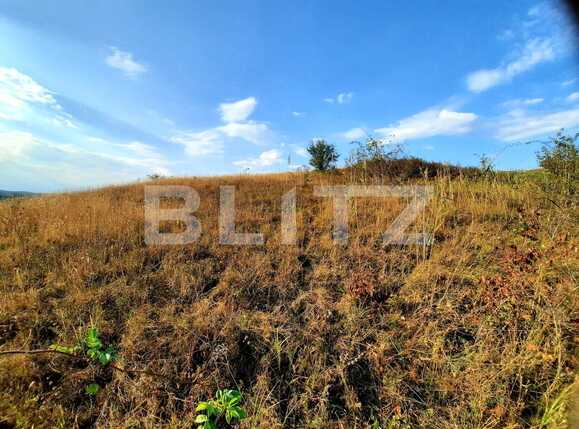 Teren de vânzare Borhanci - 55756TV | BLITZ Cluj-Napoca | Poza8