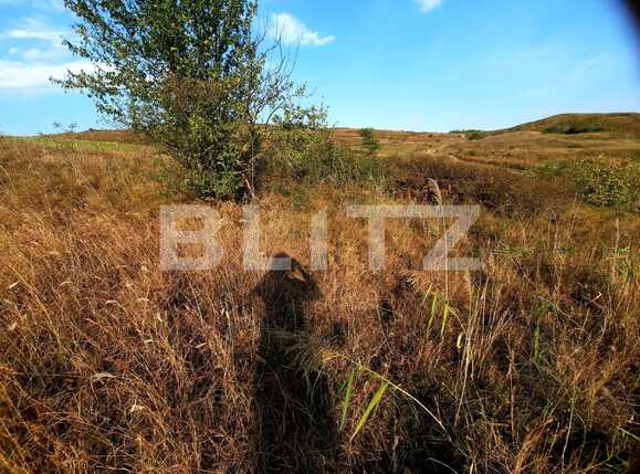 Teren de vânzare Borhanci - 55756TV | BLITZ Cluj-Napoca | Poza6