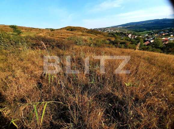 Teren de vânzare Borhanci - 55756TV | BLITZ Cluj-Napoca | Poza7