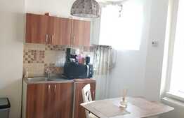 Apartament 2 camere, 30 mp,etaj intermediar, zona Politia Rutiera!