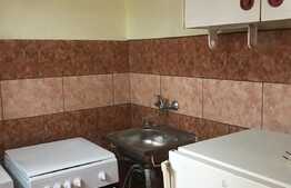 OPORTUNITATE! Garsoniera 24mp, pet friendly, zona FSEGA