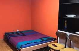 OPORTUNITATE! Garsoniera 24mp, pet friendly, zona FSEGA