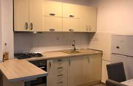 Apartament 2 camere, 55 mp, zona strazii Observatorului