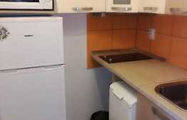 Apartament 1 camera, 24 mp, zona UMF