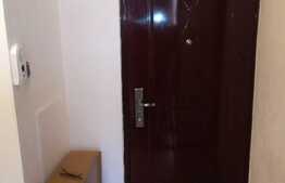 Apartament 1 camera, 24 mp, zona UMF