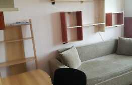 Apartament 1 camera, 24 mp, zona UMF