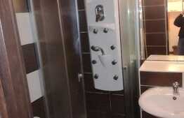 Apartament 1 camera, 24 mp, zona UMF