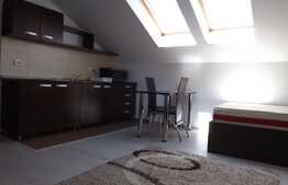 Apartament cu o camera, 37 mp, open space, zona Hasdeu