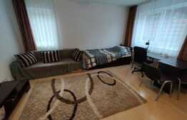 Apartament cu o camera, 35 mp, in zona Hasdeu