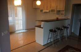 Apartament cu 2 camere, 90 mp, loc de parcare, gradina, terasa, pet frendly, zona strazii Artarului 