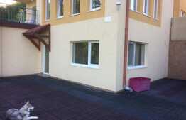 Apartament cu 2 camere, 90 mp, loc de parcare, gradina, terasa, pet frendly, zona strazii Artarului 