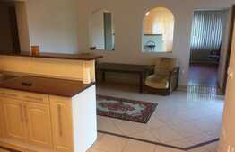 Apartament cu 2 camere, 90 mp, loc de parcare, gradina, terasa, pet frendly, zona strazii Artarului 