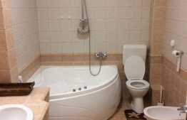 Apartament cu 2 camere, 90 mp, loc de parcare, gradina, terasa, pet frendly, zona strazii Artarului 